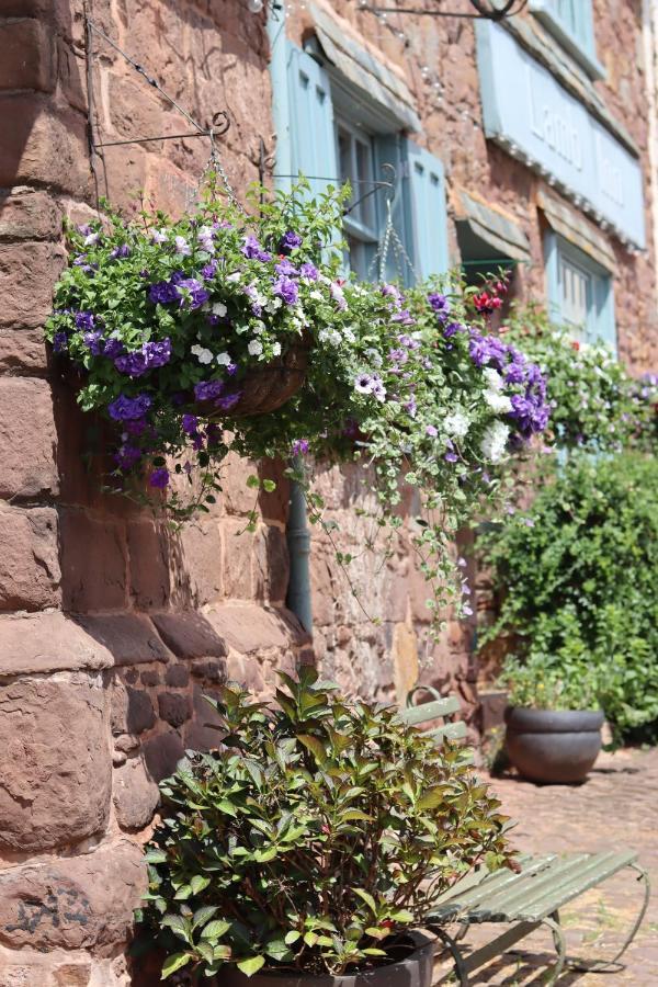 The Lamb Inn Crediton Exterior foto